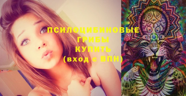 МДМА Инсар
