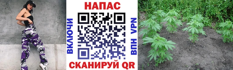 МАРИХУАНА OG Kush  Бокситогорск 